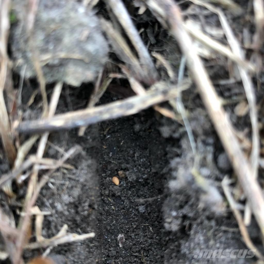  Aguirre TD-T 400 条播机