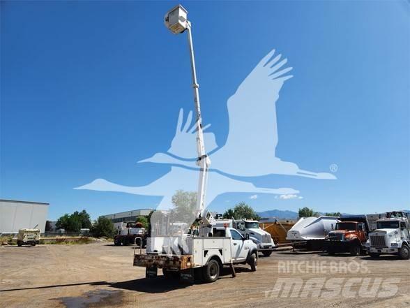 Terex TL38P 车载式高空作业车