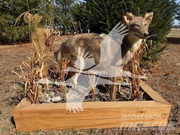 Coyote  建筑机械-其他