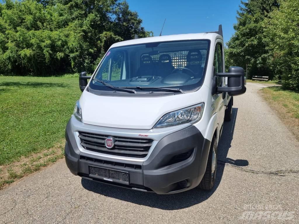 Fiat Ducato Maxi 皮卡车