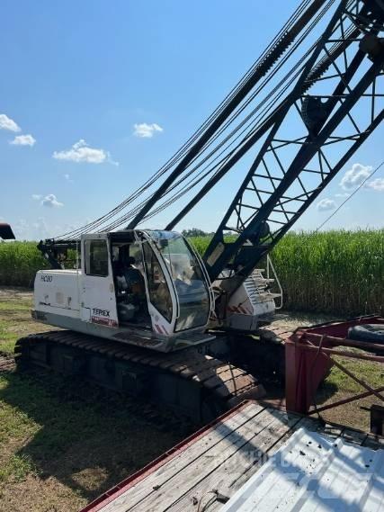 Terex HC 80 履带起重机