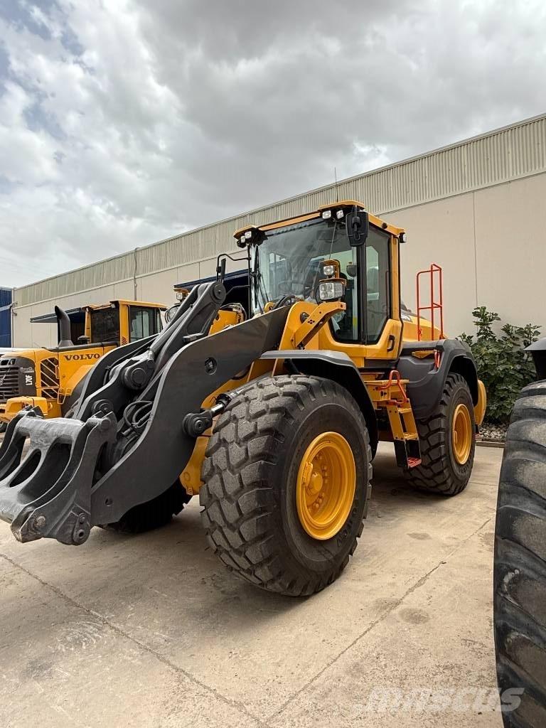 Volvo L 110 H 轮式装载机