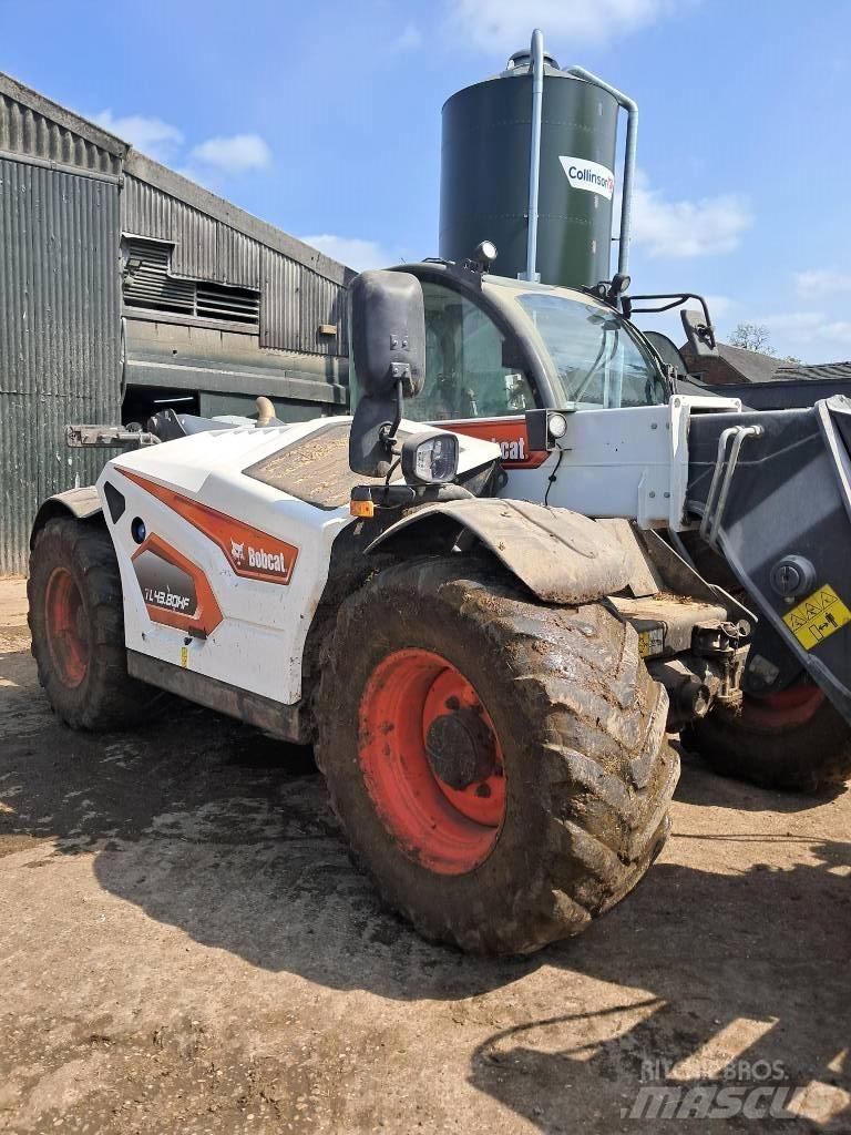 Bobcat TL 43.80 HF 电动叉车