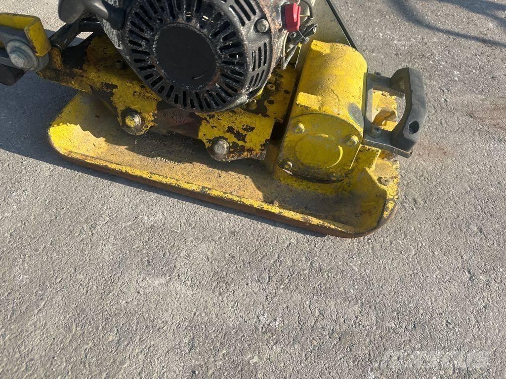 Wacker Neuson VP1135 平板夯