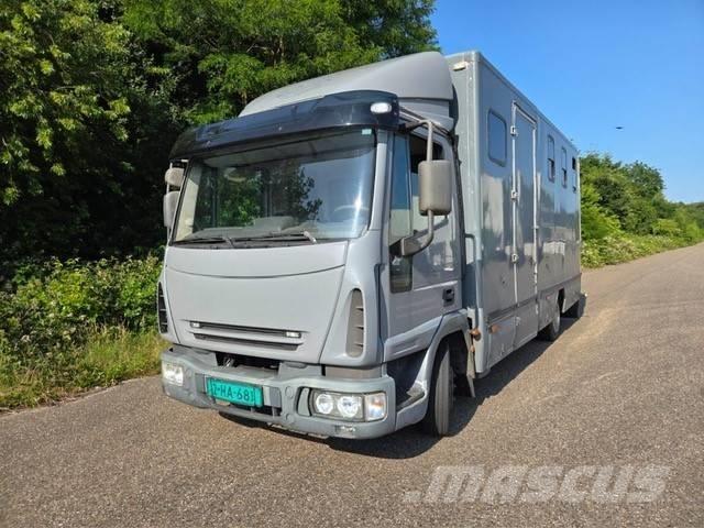 Iveco E 75 动物运输货车