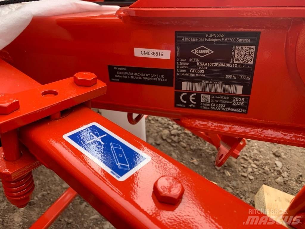 Kuhn GF6503 TEDDER 犁耙和摊草机