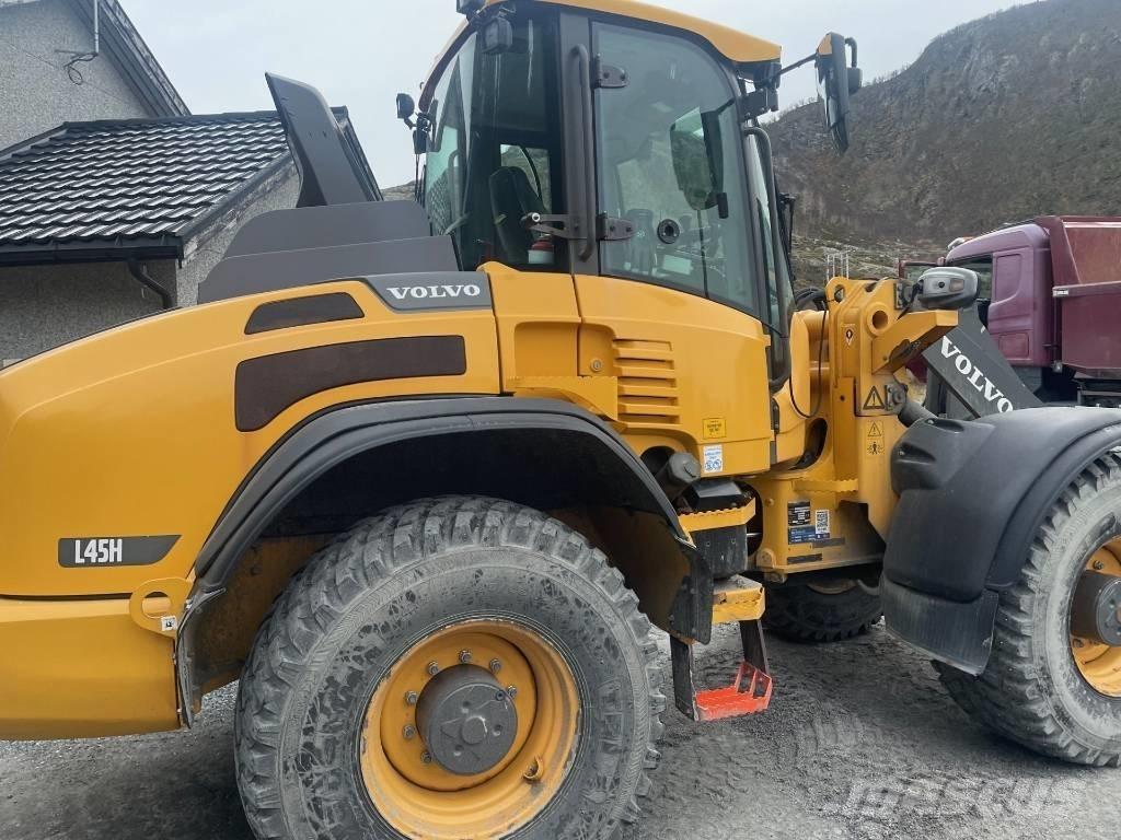 Volvo L 45 H 轮式装载机