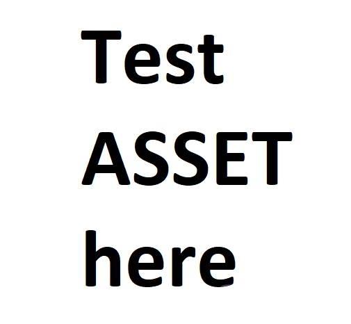  test C 栈板宽集装箱
