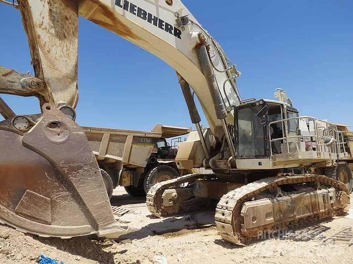 Liebherr R9150 特种挖掘机