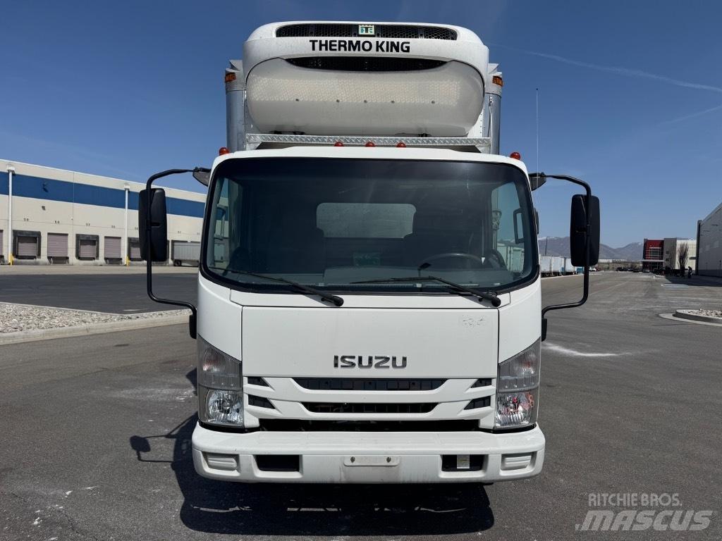 Isuzu NQR 冷藏车