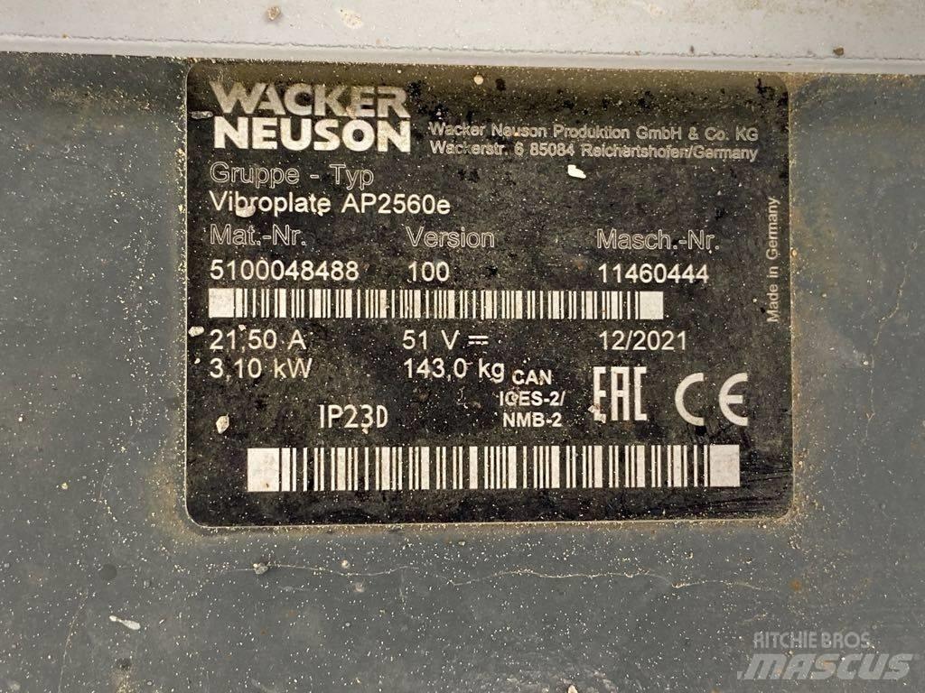 Wacker Neuson AP2560 平板夯