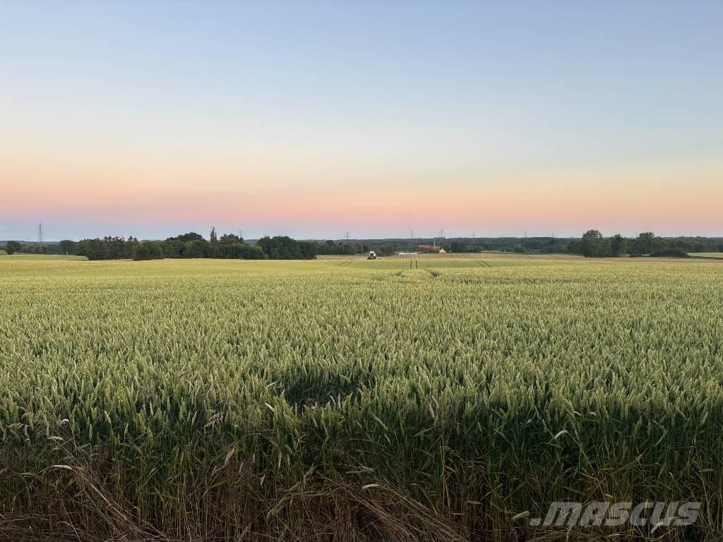 Case IH Maxxum 115 拖拉机/农用车