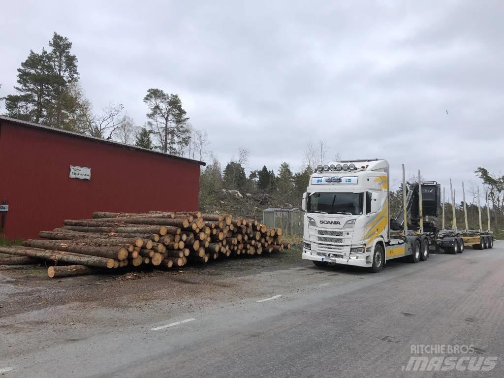 Scania R 650 木材运输车