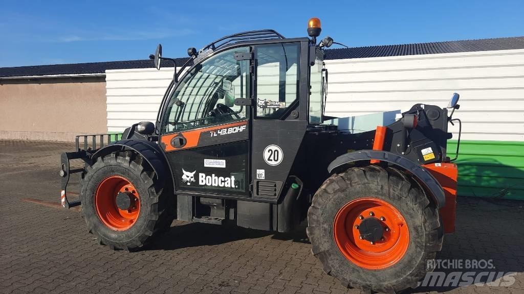 Bobcat TL 43.80 HF 伸缩臂叉装车|叉装车