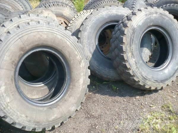 Michelin R20 365/85 XZL 建筑机械-其他