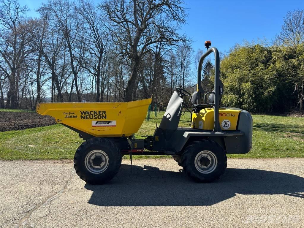 Wacker Neuson 3001 翻斗车\公路型自卸车