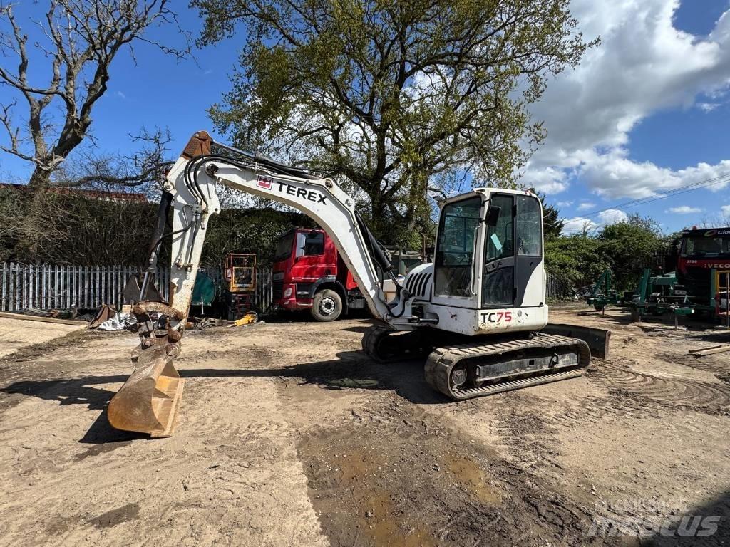 Terex TC 75 中型挖掘机
