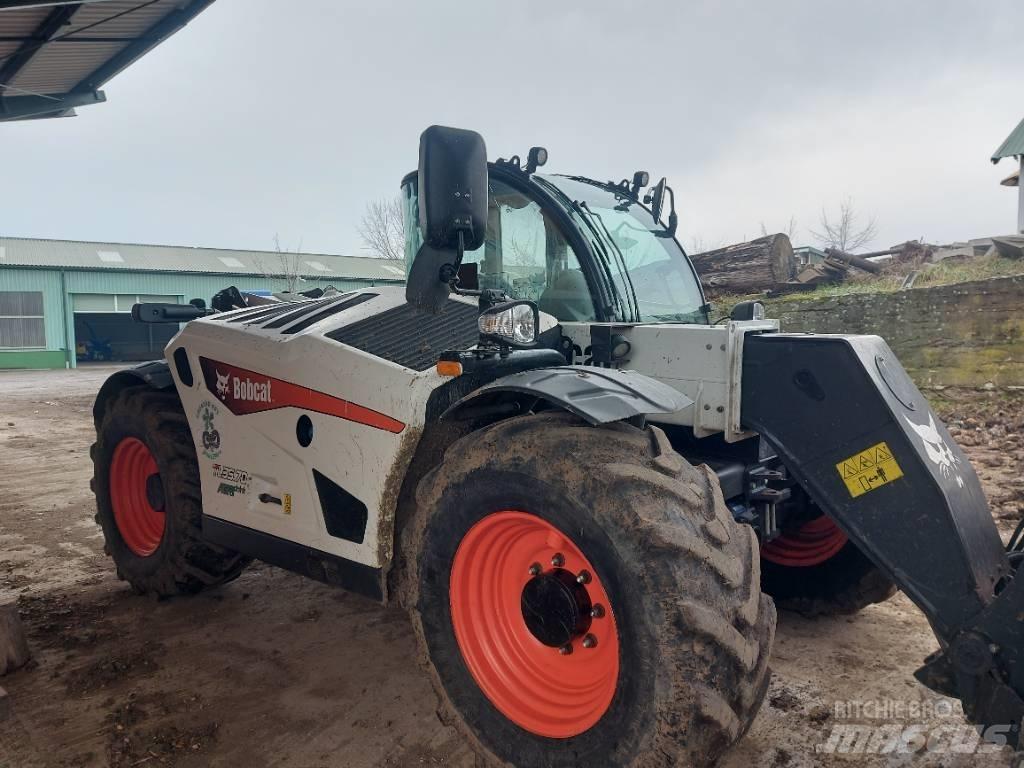 Bobcat TL 35.70 AGRI 伸缩臂叉装车|叉装车