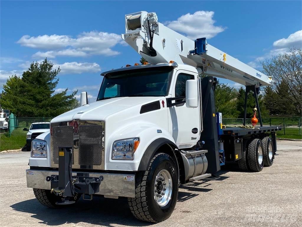 Manitex 30102 C 起重车