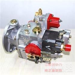 Cummins 4951451-20 发动机