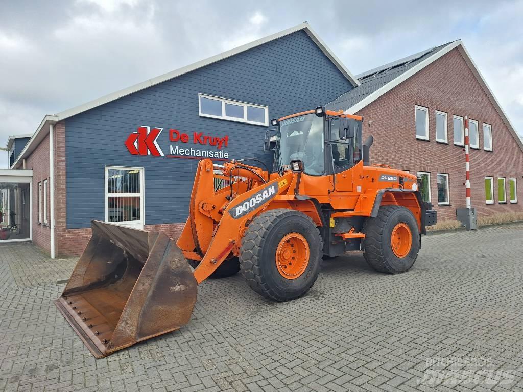 Doosan DL250 轮式装载机