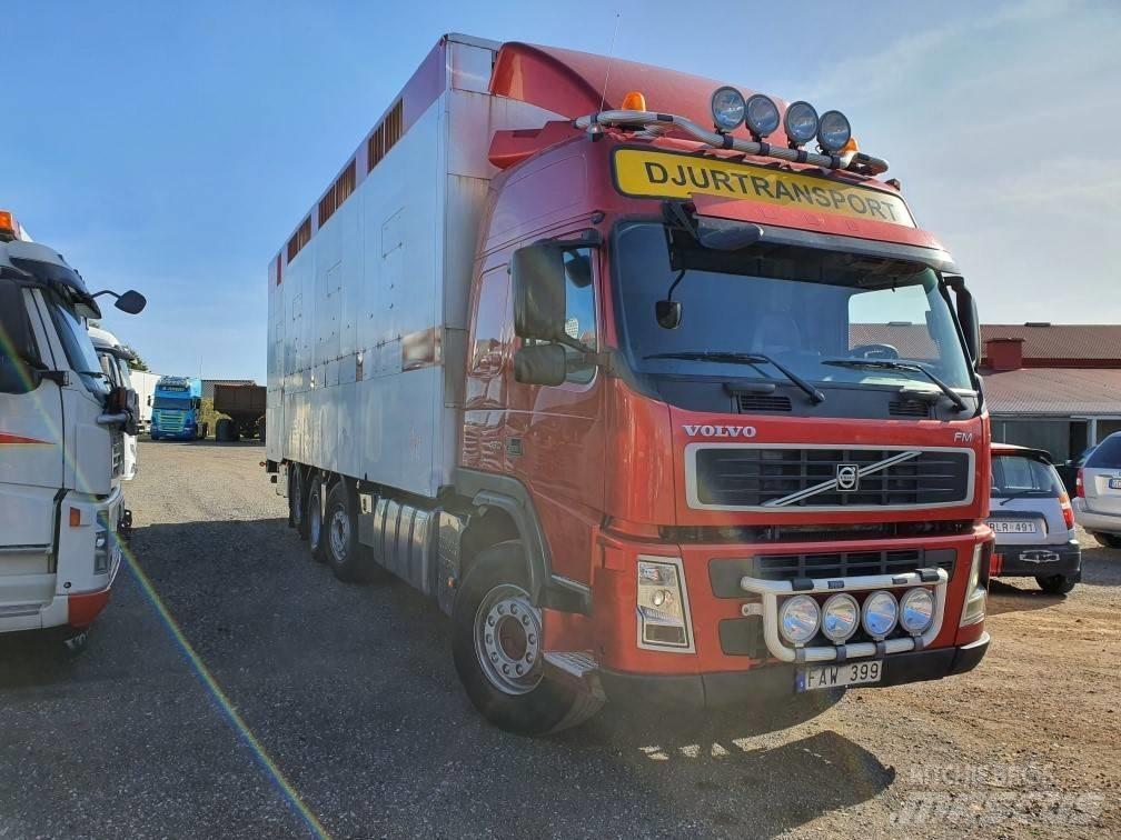 Volvo FM12 动物运输货车