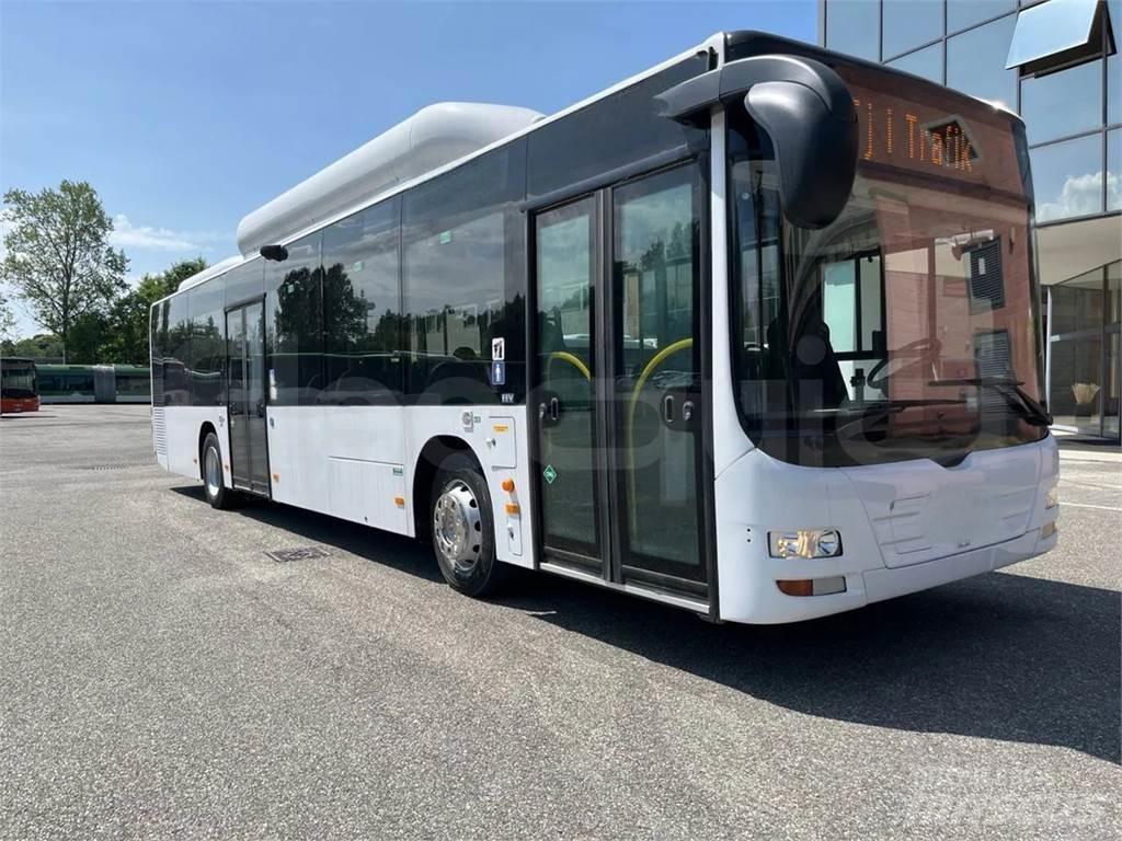 MAN A21 市区公共汽车
