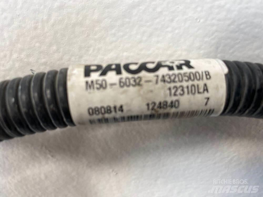 Paccar  运输工具-其他