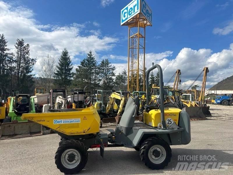 Neuson 3001 翻斗车\公路型自卸车