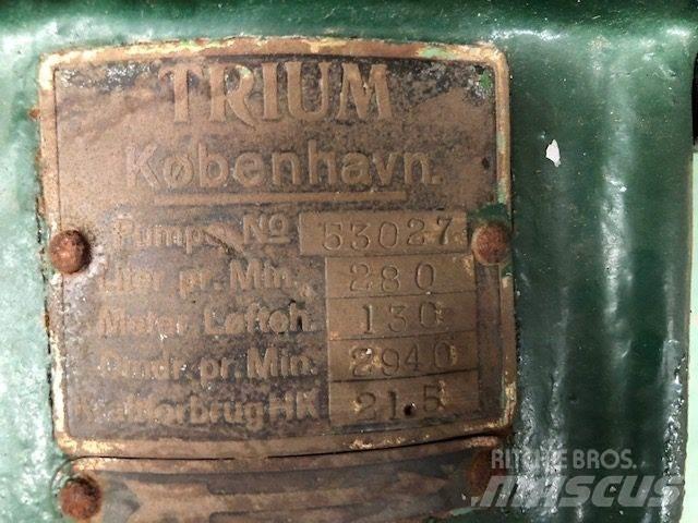  TRIUM QZKS Vandpumpe 水泵