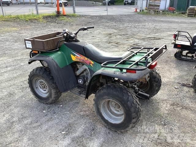 Arctic Cat 454 沙滩车