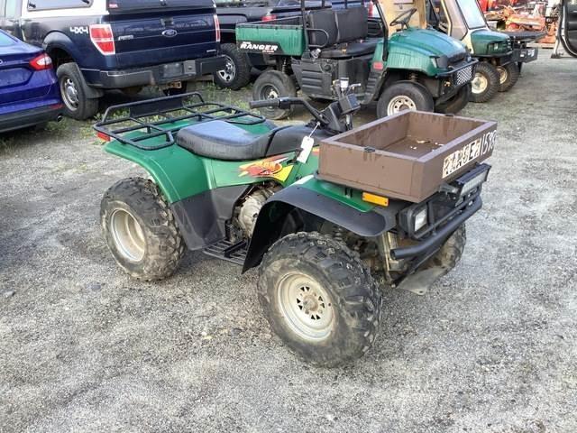 Arctic Cat 454 沙滩车
