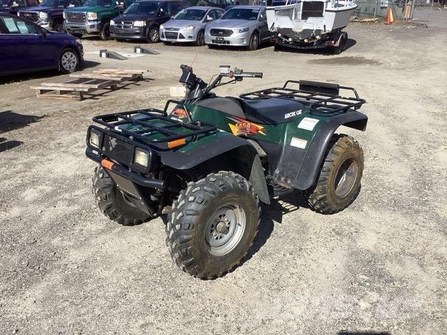 Arctic Cat 454 沙滩车