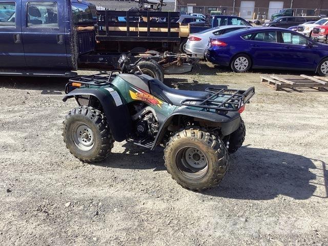 Arctic Cat 454 沙滩车