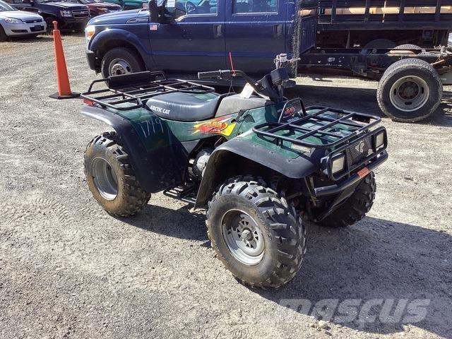Arctic Cat 454 沙滩车
