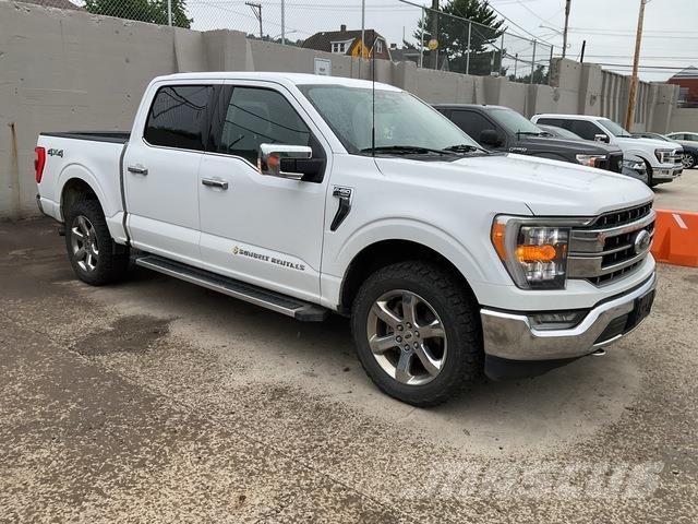 Ford F-150 其他