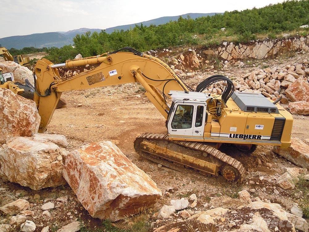 Liebherr R974BHD 履带挖掘机