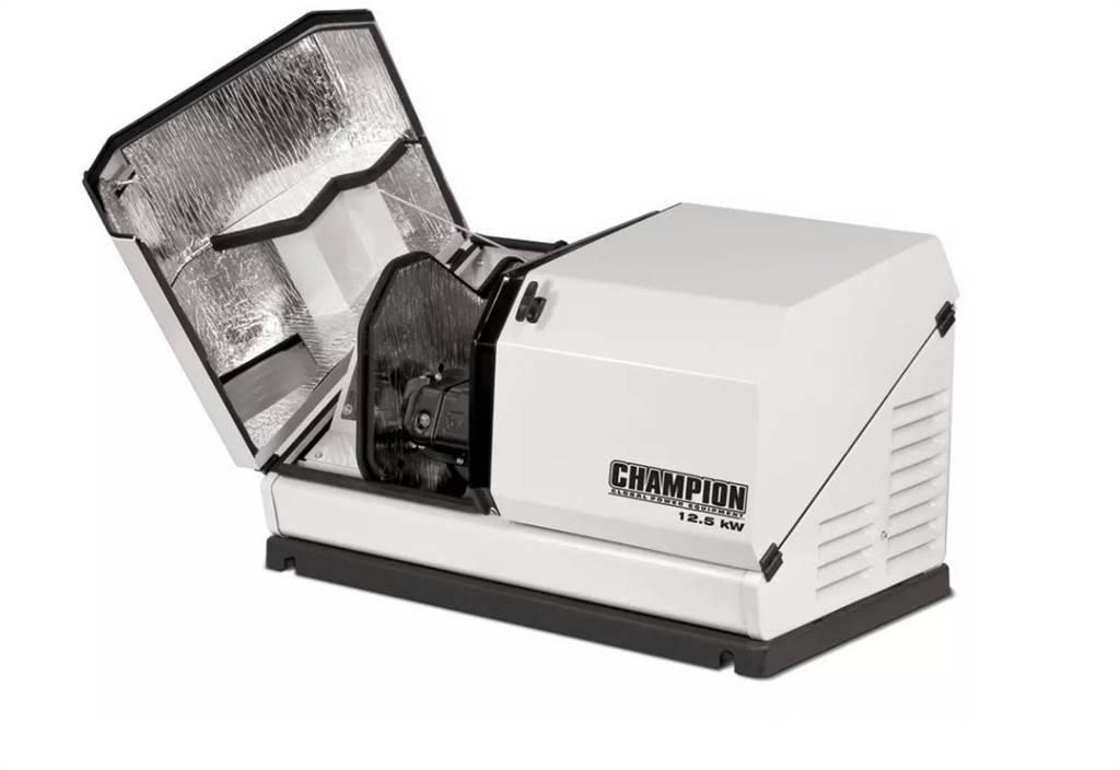 Champion 100838 柴油发电机