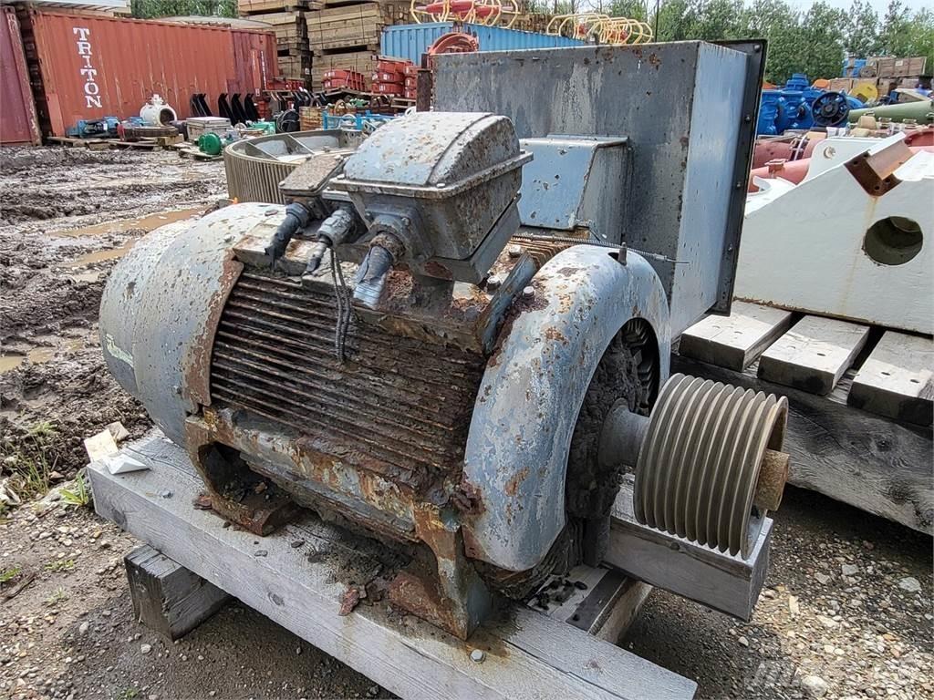  TECO-WESTINGHOUSE 工业发动机