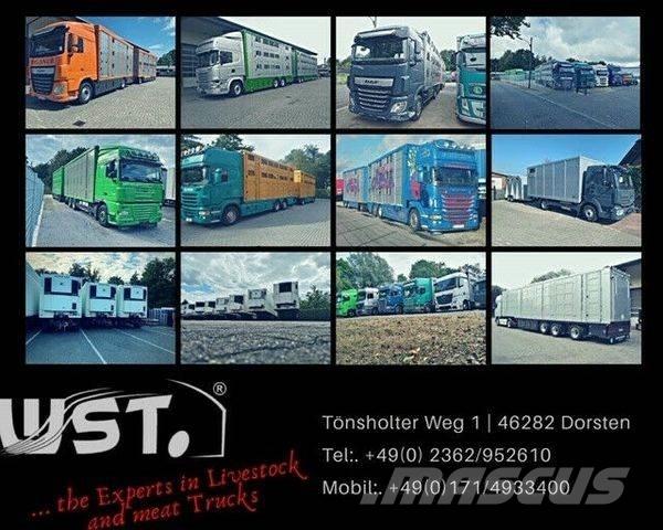 Kässbohrer  侧帘拖车