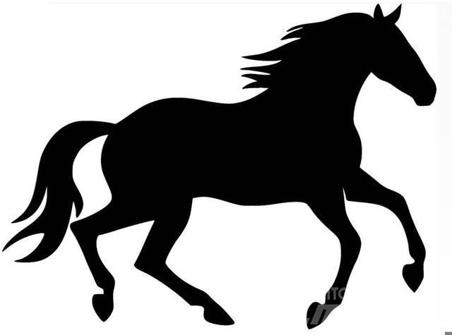  Dark Bay Stallion 建筑机械-其他