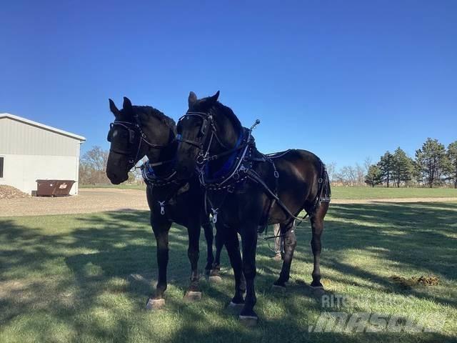  Percheron Team 建筑机械-其他