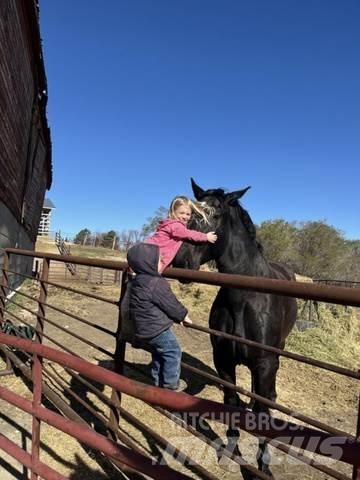  Percheron Team 建筑机械-其他