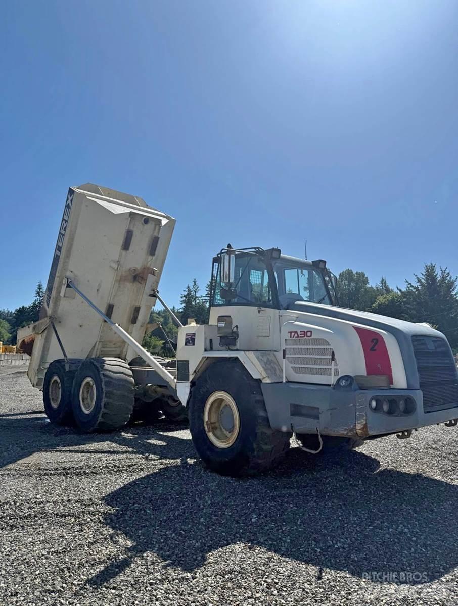Terex TA30 大型面包车