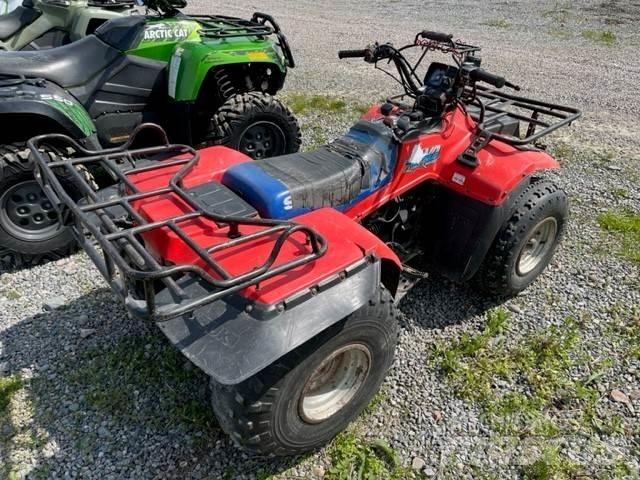 Suzuki Quadrunner 250 沙滩车