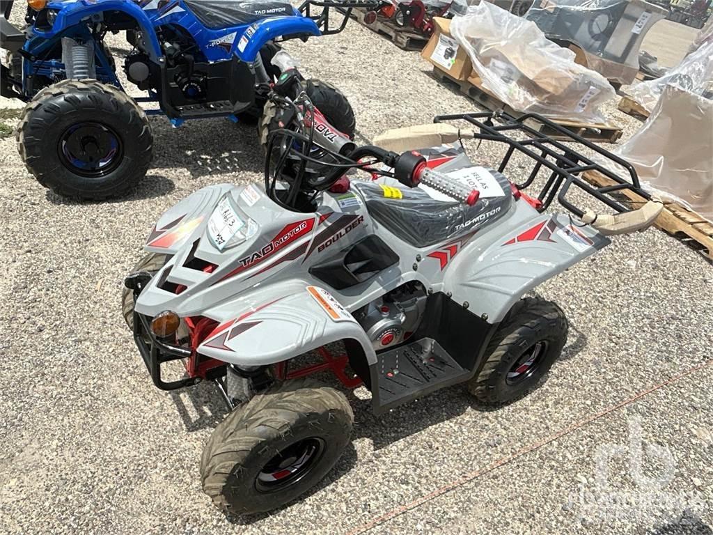  TAO B110 沙滩车