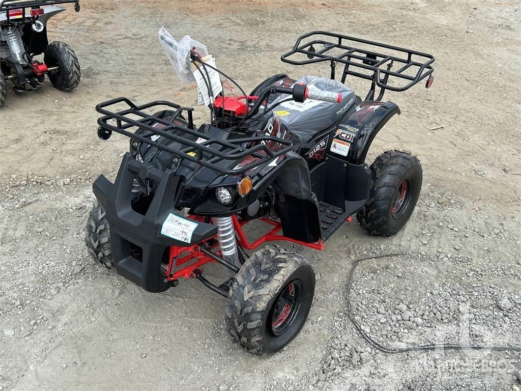  TAO D125 沙滩车