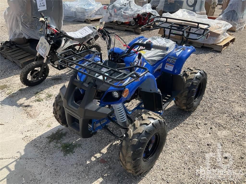  TAO T125 沙滩车