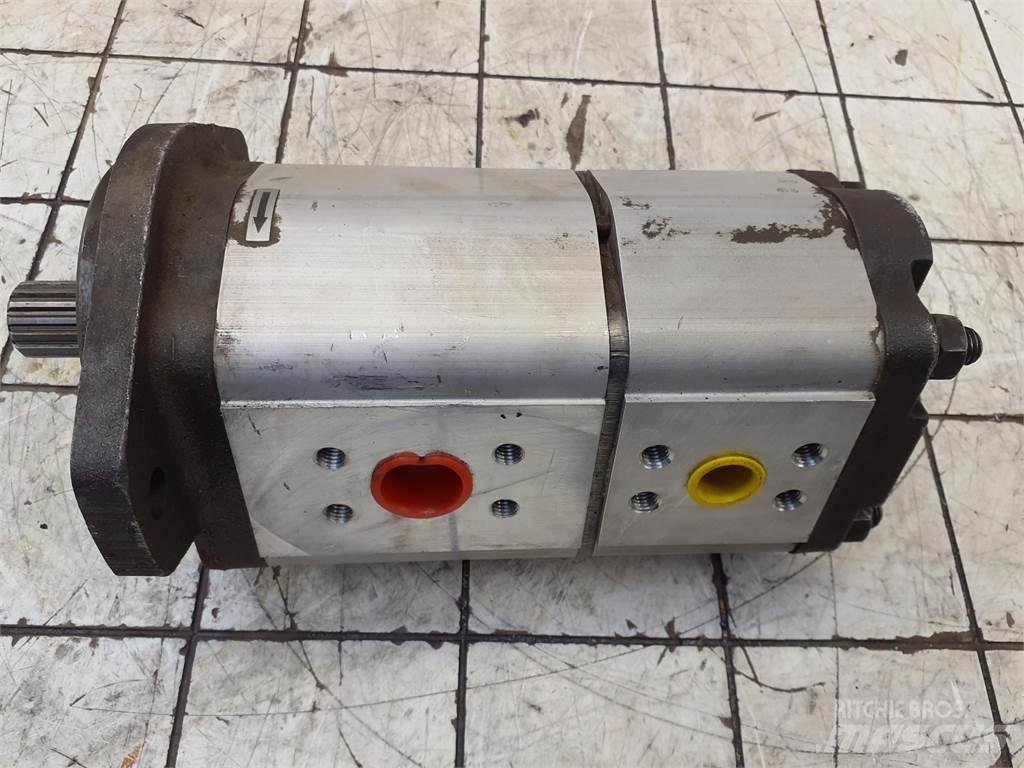  CT2 Dual gear pump 起重机配件设备