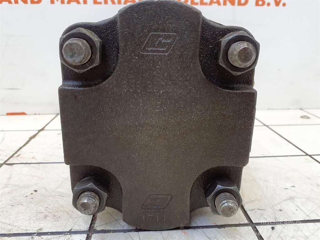  CT2 Dual gear pump 起重机配件设备
